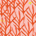 Seaweed-Coral-2