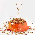 9-JPF-321124-NONE-1